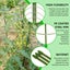 Garden Plant Support Cage Rings Tomato Cages 3 Rings Climbing Plant Sup Carousel 3