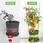 Garden Plant Support Cage Rings Tomato Cages 3 Rings Climbing Plant Sup Carousel 4