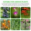 Garden Plant Support Cage Rings Tomato Cages 3 Rings Climbing Plant Sup Carousel 5