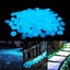 200Pcs Glow in The Dark Pebbles for Outdoor Decor, Garden Lawn Yard, Aq Carousel 3