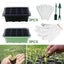 12 Cells Seedling Starter Tray Seed Germination Garden Flower Plant Pot Carousel 1