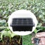 12 Cells Seedling Starter Tray Seed Germination Garden Flower Plant Pot Carousel 5