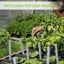 12 Cells Seedling Starter Tray Seed Germination Garden Flower Plant Pot Carousel 6