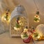 4M 50LED Fairy String Lights Battery Powered Fairy Lights with 10 Bulbs Carousel 6