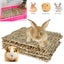 4PACK Natural Grass Mat Woven Bed Mat for Small Animals Rabbit Hamster Carousel 3