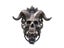 Gothic Style Horned God Skull Door Knocker Decor Pendant Resin Wall Head Carousel 5