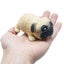 Pug Sensory Fidget Toys Decompression Squishy Squeeze Gifts for Pug Lov Carousel 5