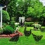 5 Style Gardening Ornaments Chicken Yard Art Garden Backyard Lawn Stake Carousel 6