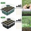 2PCS 12cell Garden Plant Grow Box Seedling Tray Nursery Pots Seedling S Carousel 8