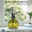 Plant Mister Glass Pumpkin Shape Spray Bottle intage Style Flower Spray Carousel 4