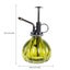 Plant Mister Glass Pumpkin Shape Spray Bottle intage Style Flower Spray Carousel 6