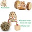 10pcs Natural Wooden Hamster Toys Set Guinea Pig Toy Rabbit Rat Chinchi Carousel 7