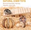 10pcs Natural Wooden Hamster Toys Set Guinea Pig Toy Rabbit Rat Chinchi Carousel 9