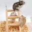 10pcs Natural Wooden Hamster Toys Set Guinea Pig Toy Rabbit Rat Chinchi Carousel 11