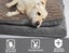 Pawz Dog Calming Bed Pet Cat Removable Cover Washable Orthopedic Memory Foam XL Carousel 9