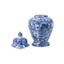 Rembrandt Kitchen Jar - Blue and White (SE2248) Carousel 2