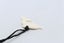 Bone Dolphin Pendant - BCCM018 Carousel 5