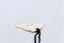 Bone Dolphin Pendant - BCCM018 Carousel 6