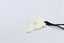 Bone Dolphin Pendant - BCCM018 Carousel 8
