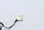 Bone Dolphin Pendant - BC014 Carousel 13