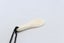 Bone Patu Pendant - BCCL013 Carousel 5