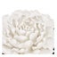 Rembrandt Flower Wall Art SE2488 Carousel 3