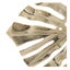 Loading Image 2 of 4
