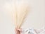 4Pcs Beige Faux Pampas Grass 50cm Tall Artificial Reed Fluffy Stems Home Decor Carousel 3