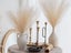 4Pcs Beige Faux Pampas Grass 50cm Tall Artificial Reed Fluffy Stems Home Decor Carousel 5