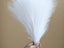 4Pcs White Faux Pampas Grass 50cm Tall Artificial Reed Fluffy Stems Home Decor Carousel 1
