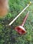 Aircraft tie down anchors Carousel 4