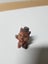 $1 baby boy figurines for 5-pieces Carousel 3