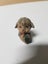 $1 baby boy figurines for 5-pieces Carousel 6