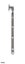 Miles Nelson Fanlight Sty 300mm FB 465 Carousel 1