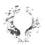 Loading Image 1 of 1