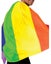 Rainbow Adult Cape Carousel 2