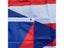 90 X 150cm Puerto Rico National Flag Polyester Outdoor Indoor Big Flag Carousel 7