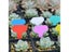 100pcs Colorful Garden Tool Tags PVC Waterproof Stake Carousel 6