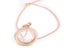 Necklace Round CZ Stainless Steel Necklace Rose Gold Color Necklace Carousel 1