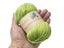 ThinkThings 500g 10balls Lot Milk Cotton Crochet Knitting Yarn Carousel 15