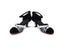 Red Gold Silver Black Women's Closed Toe Salsa Party Ballroom Dancing Shoes Low Carousel 10