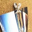 gallery view thumbnail