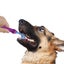 Loading Image 1 of 4