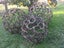 HORSE SHOE BALLS 75CM - CHRISTMAS SPECIAL ONE ONLY AT $635 ! Carousel 5
