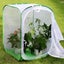 Tall Large Butterfly Habitat Cage Collapsible Terrarium Pop-up Lnches Carousel 4