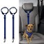Car Dog Safety Belt [pack Of 2] 19-27 Inch Adjustable Dog Belt Safety Harness Fo Carousel 2