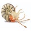 Loading Image 2 of 5