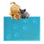 Loading Image 2 of 5
