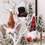 Lighted Christmas Gnomes Decorations For Home Holiday Party Gifts Carousel 3