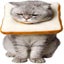 Adjustable Cat E-collar, Cute Toast Neck Cone After Surgery, Wound Healing Prote Carousel 1